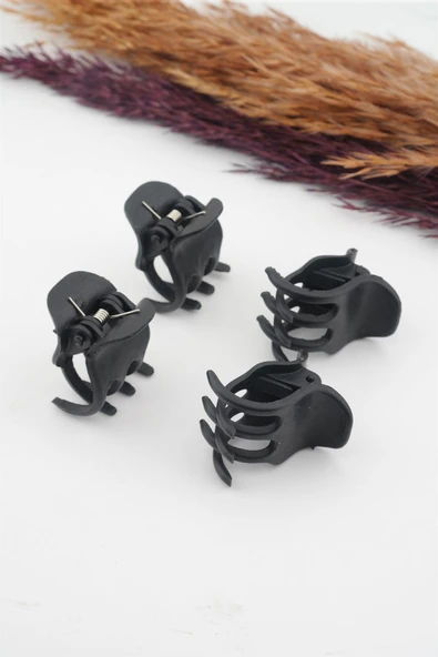 By Zeyna Aksesuar Kadın Siyah 4'lü Mandal Toka Seti ürün görseli 1