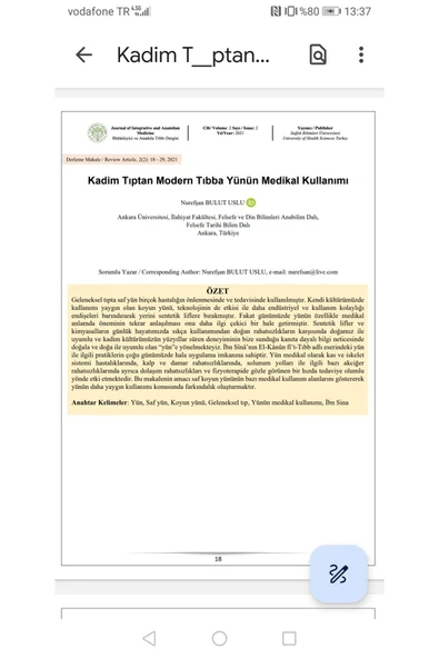 Hasyün Özyün Hakiki Yün Fanila Bronşit Fanila - Resim 4