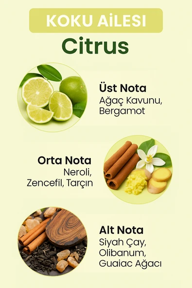 E-241 Frequence Erkek EDP Parfüm 50 ML - 2