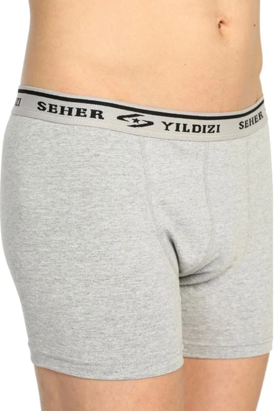 Seher Yıldızı Seher Erkek Gri Likralı Boxer Yeni Sezon ürün görseli 1