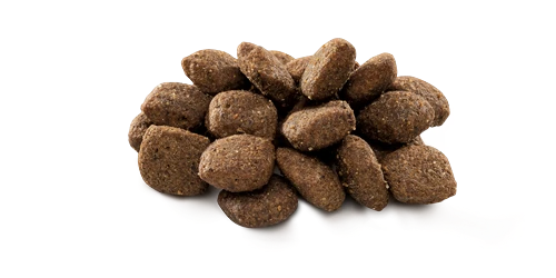 Brit Premium By Nature Hassas Sindirime Sahip Köpekler İçin, Kuzu Etli Kuru Mama 8 kg