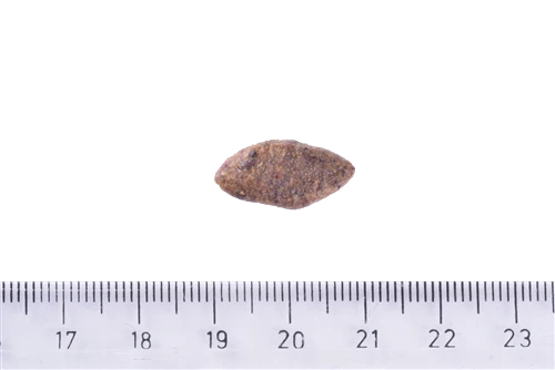 Brit Care Gıda İntoleransı Ve Deri Hassasiyet Problemi Olan Köpekler İçin, Larva Ve Balık Etli Kuru Mama 12 kg - Resim 5