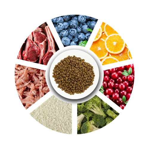 Prochoice Yavru Köpekler İçin, Hipoalerjenik, Kuzu Etli Ve Pirinçli Kuru Mama 12 kg - Resim 3