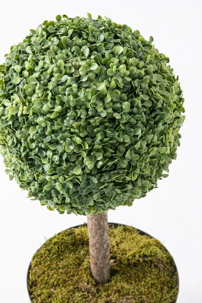 Yapay Top Şimşir Ağacı Tekli 70 Cm - Resim 3