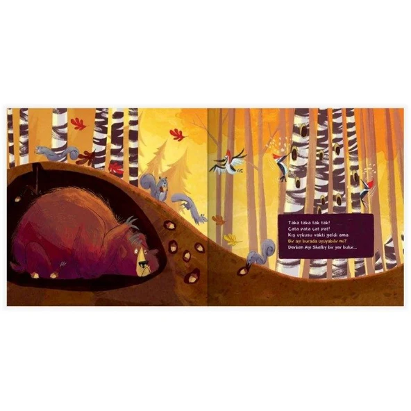 Bir Ayı Burada Uyuyabilir mi? - Resim 2