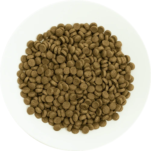 Prochoice Yetişkin Kediler İçin, Hipoalerjenik, Kuzu Etli Ve Pirinçli Kuru Mama 2 kg - 4