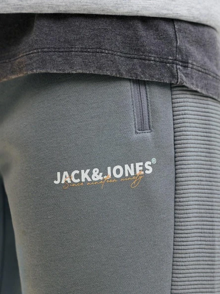 Jack Jones Godon Thatcher Regular Fit Erkek Eşofman Altı 12279102 - Resim 8