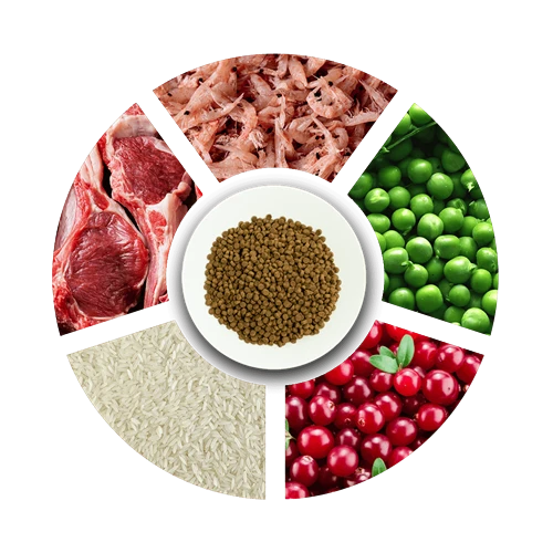 Prochoice Yavru Kediler İçin, Hipoalerjenik, Tavuk Etli Ve Pirinçli Kuru Mama 15 kg - Resim 4