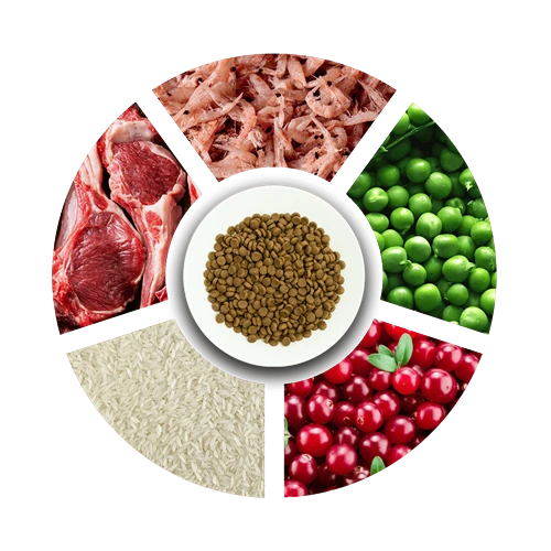 Prochoice Yetişkin Kediler İçin, Hipoalerjenik, Kuzu Etli Ve Pirinçli Kuru Mama 2 kg - 5