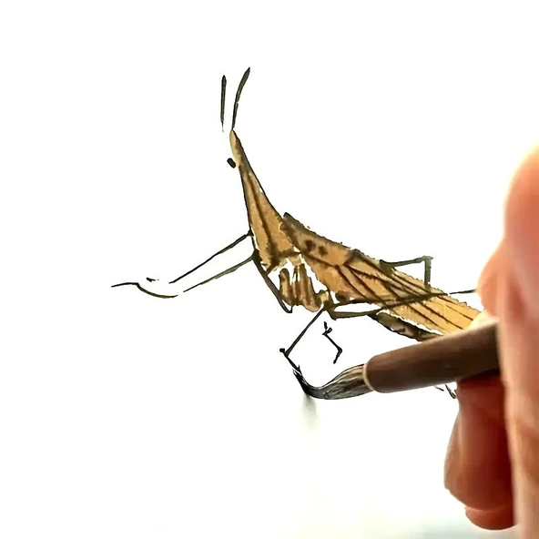 Tahrir Fırçası Kurt Kılı No:2-çini, seramik, tezhip, minyatür, brush, ekstra ince-1 Adet - Resim 2