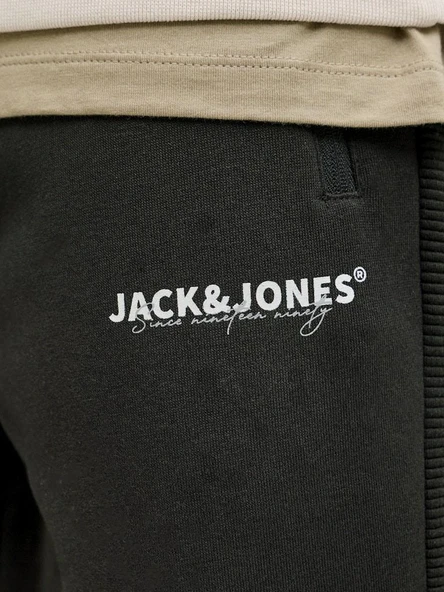 Jack Jones Godon Thatcher Regular Fit Erkek Eşofman Altı 12279102 - Resim 8