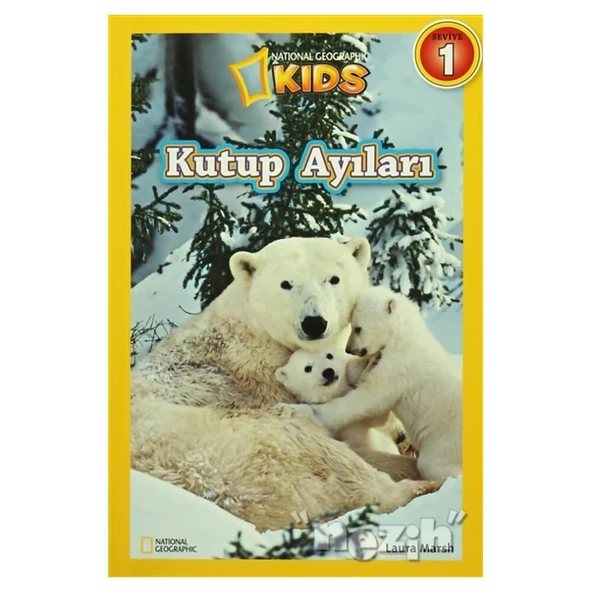 Kutup Ayıları Seviye 1 ürün görseli