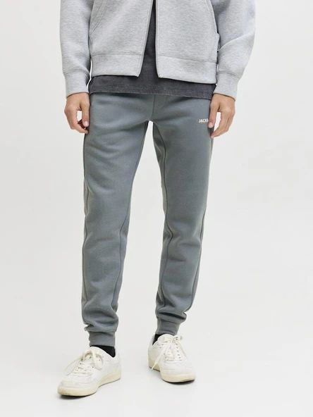 Jack Jones Godon Thatcher Regular Fit Erkek Eşofman Altı 12279102 - Resim 3