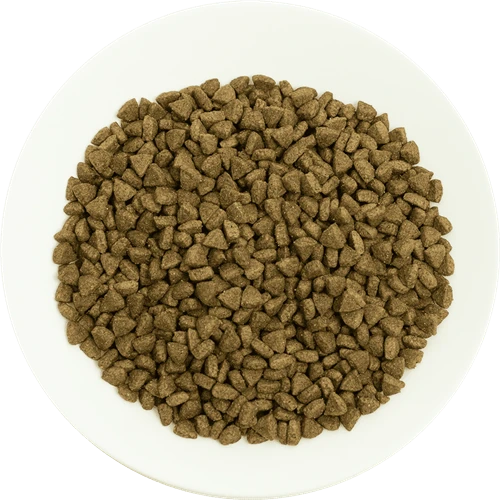 Prochoice Yetişkin Kediler İçin, Hipoalerjenik, Somon Balıklı Ve Pirinçli Kuru Mama 2 kg - Resim 4