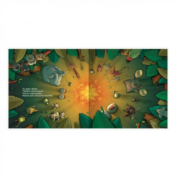 Büyük Hayvanat Bahçesi Şenliği - Resim 3