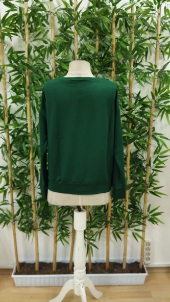 Kadın Uzun Kollu Bisiklet Yaka Desenli Viskon Iki Iplik Bluz - Resim 5