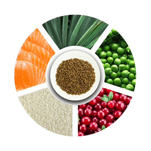 Prochoice Yetişkin Kediler İçin, Hipoalerjenik, Somon Balıklı Ve Pirinçli Kuru Mama 15 kg - Resim 5