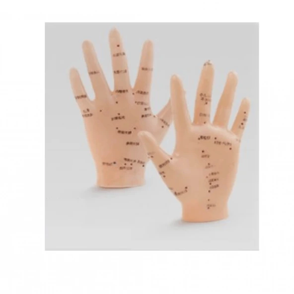 Akupunktur El Maketi ürün görseli 1