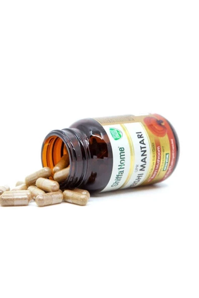 SHİFFA HOME Bitki Diyarı Reishi Mantarı 60 Kapsül- - 2