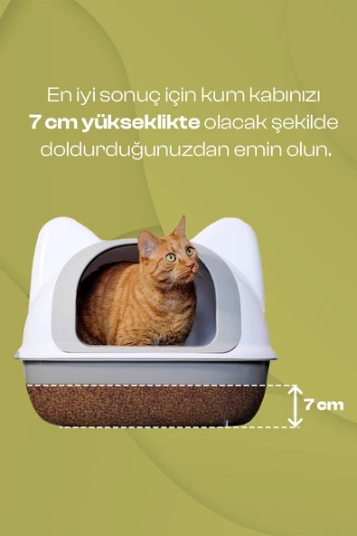 Olivacat Zeytin Çekirdeğinden Üretilen Doğal Tozsuz Kedi Kumu 7 L - 6