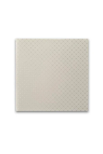 PİYADAN 60×60 Plastik Tavan Panel(HM30 7,20PK) (20 Adet)