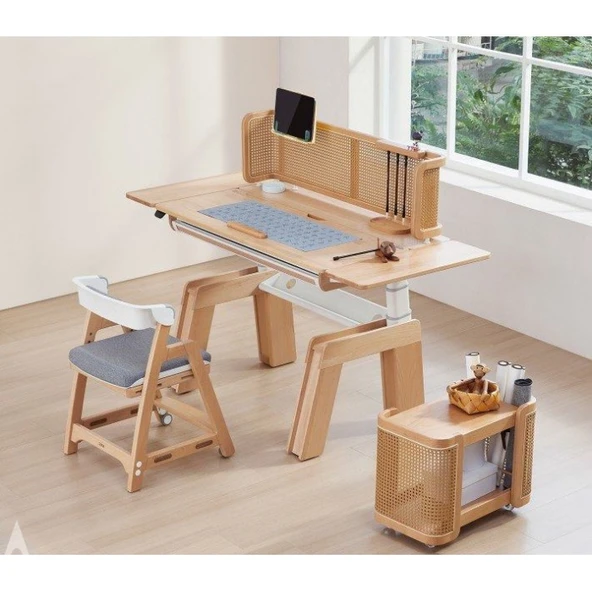 Hebblife Wood fashion Çalışma Masası - 2