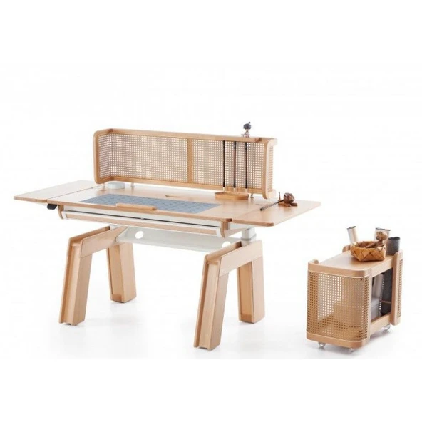 Hebblife Wood fashion Çalışma Masası