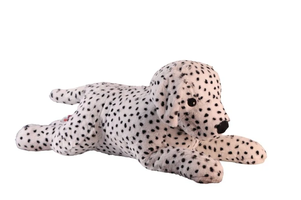 1140 90 CM DALMAÇYALI KÖPEK ürün görseli