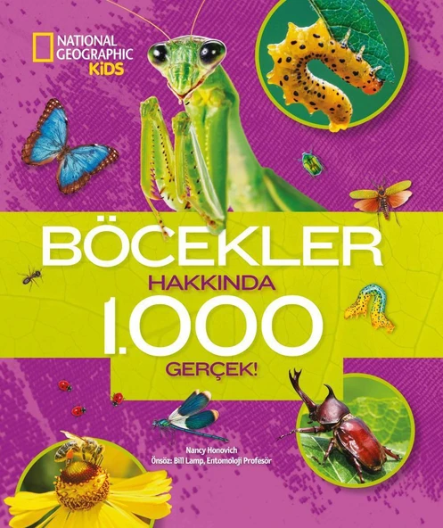 Böcekler Hakkında 1000 Gerçek - National Geographic Kids ürün görseli