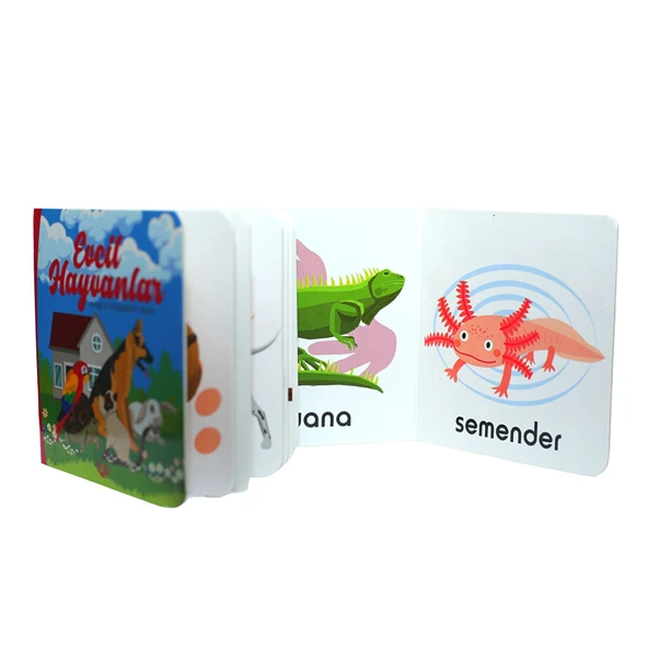 Evcil Hayvanlar - Resim 3