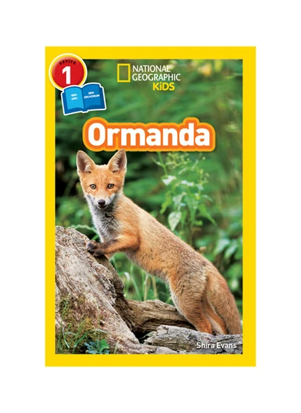 Ormanda - Seviye 1 ürün görseli