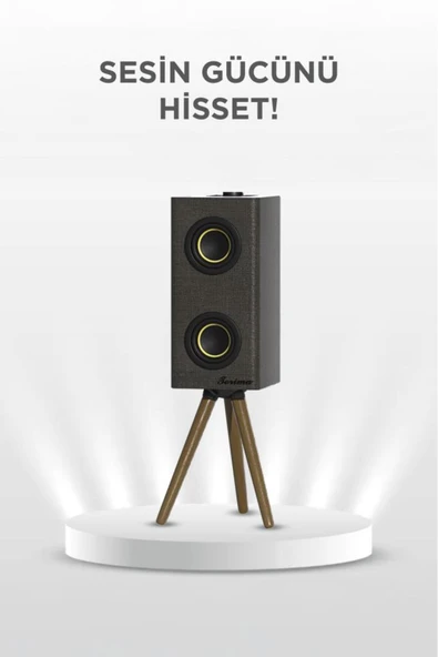 Kablosuz Hoparlör 24W Çift Sürücü, 3000mAh Batarya, Taşınabilir Ayaklı Speaker - 10