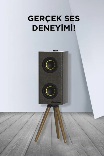 Kablosuz Hoparlör 24W Çift Sürücü, 3000mAh Batarya, Taşınabilir Ayaklı Speaker - 12