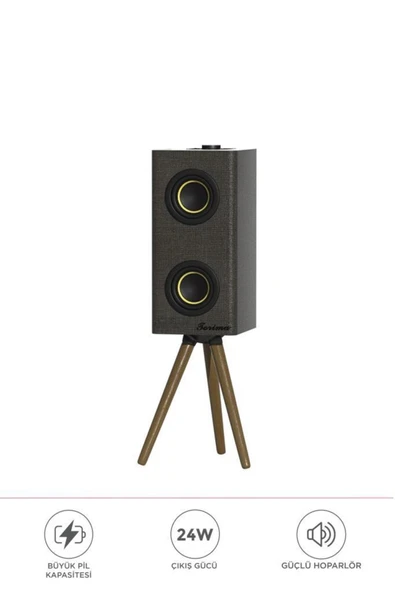 Kablosuz Hoparlör 24W Çift Sürücü, 3000mAh Batarya, Taşınabilir Ayaklı Speaker - 9