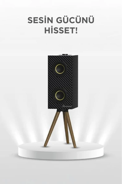 Kablosuz Hoparlör 24W Çift Sürücü, 3000mAh Batarya, Taşınabilir Ayaklı Speaker - 6