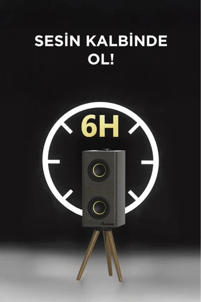 Kablosuz Hoparlör 24W Çift Sürücü, 3000mAh Batarya, Taşınabilir Ayaklı Speaker - 11