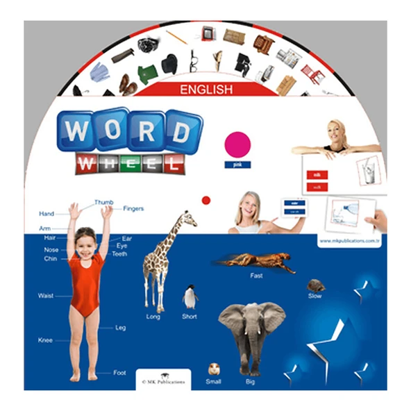 English Word Wheel ürün görseli