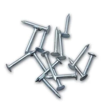 Oluklu Ayakkabı Çivisi 1 Kg ürün görseli