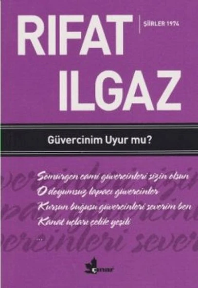 Güvercinim Uyur mu ?