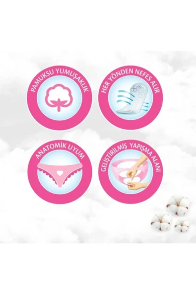 Molped Parfümsüz Günlük Ped 60 X 4 Adet 2200003195415 - Resim 2