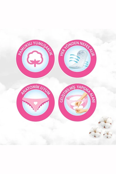 Molped Günlük Parfümsüz Ped 20'li X 8 Adet - Resim 4