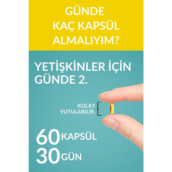 Storm Vitals Omega Focus Sitikolin Complex 60 Softjel - 2