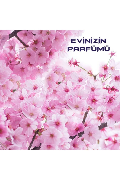 Bingo Fresh Yüzey Temizleyici Pembe Düşler 2500 ml - Resim 4