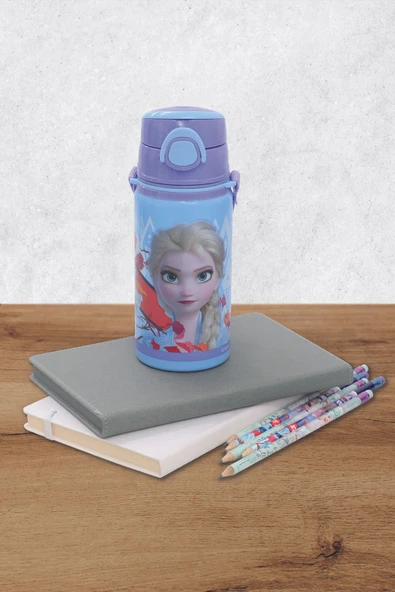 Frocx Frozen Çelik Matara Salto 500 ml Ice Cool