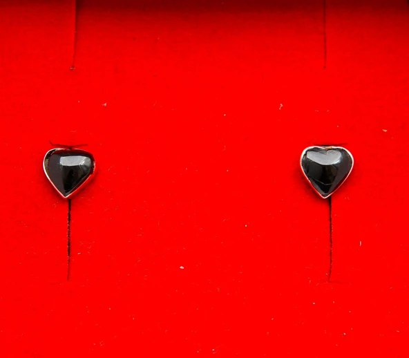 925 Ayar Gümüş Oltu Taşı Kadın Küpe skü00034 - Resim 3