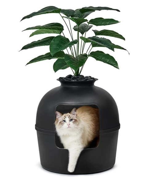 Dekoratif Kedi Tuvaleti & Evi