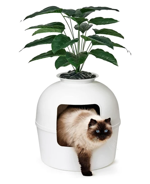 Dekoratif Kedi Tuvaleti & Evi - 9