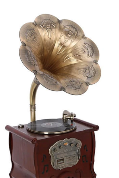 Gramofon 150cm Ahşap Standlı Pikap Plakçalar Radyo Bluetooth Usb C1000 - Resim 9