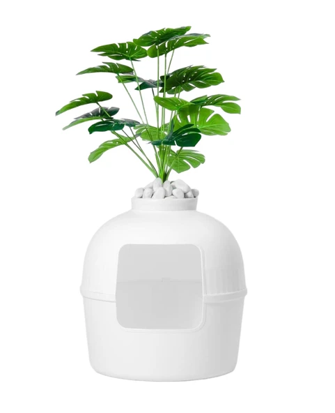 Dekoratif Kedi Tuvaleti & Evi - 3