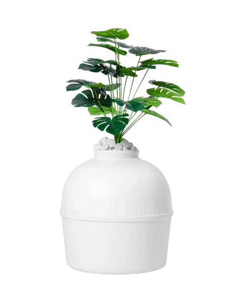 Dekoratif Kedi Tuvaleti & Evi - 2